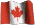 Canada's flag