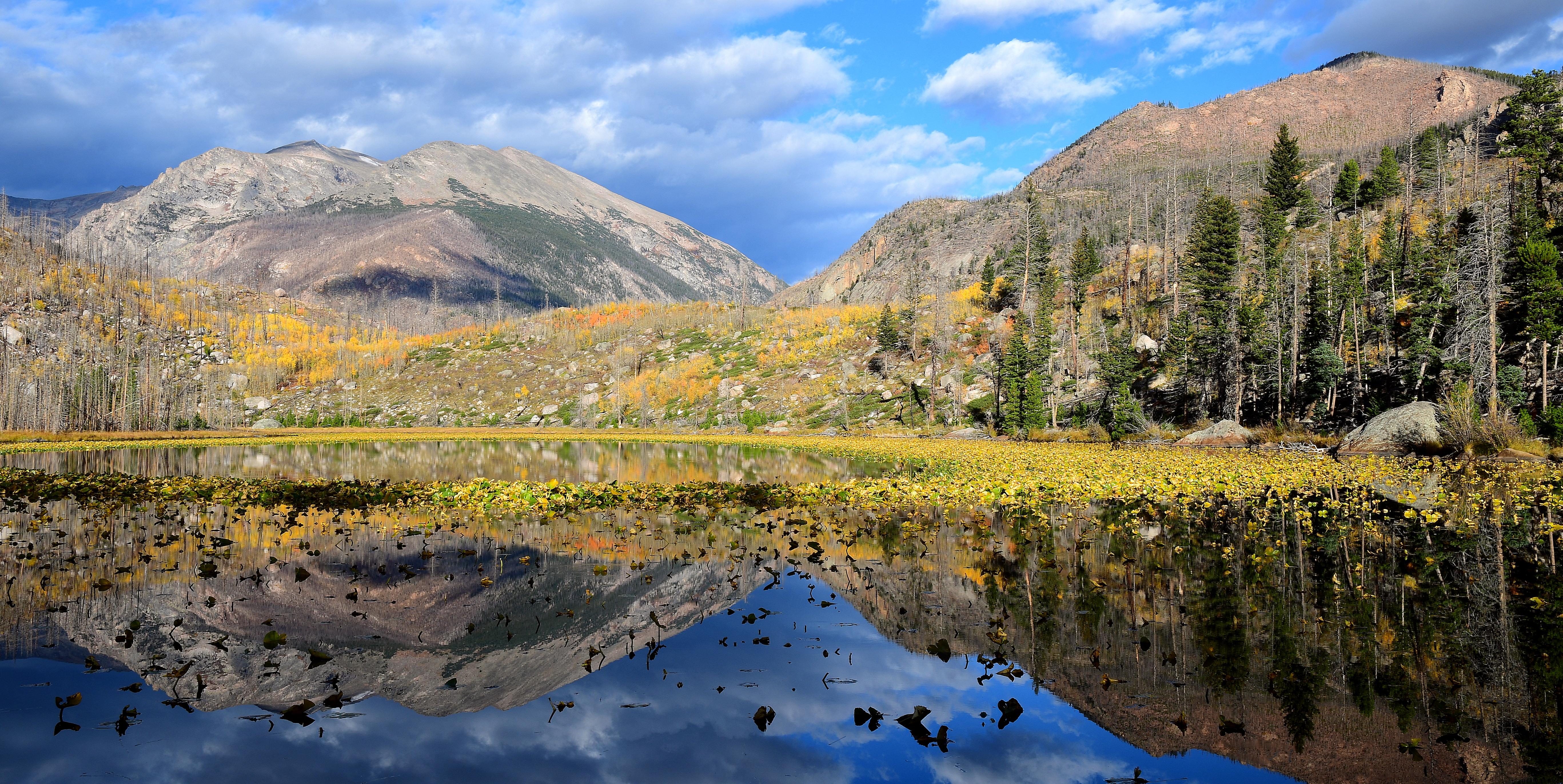 Wide view of a national park landscape with no wildlife in sight