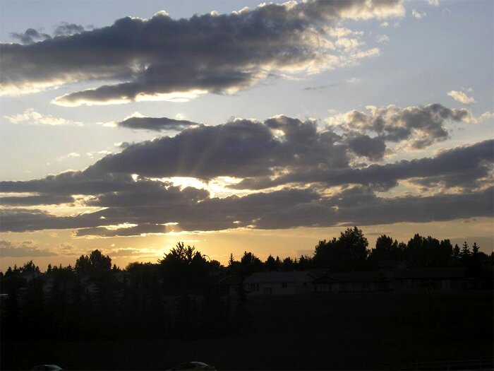Last rays >>> Click photo to close window