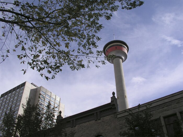 The tower