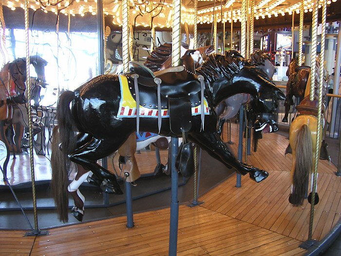 Black stallion >>> Click photo to close window