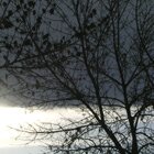 Light vs. dark