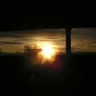 Into the sun