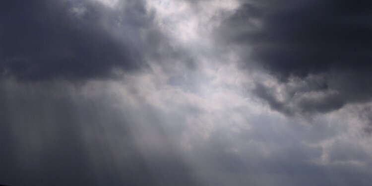 Rays