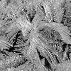 Natural crystals 