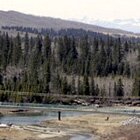Wild country