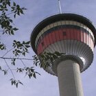The tower
