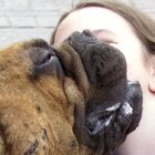 Smooches