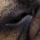 Closeness