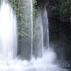 Serenity