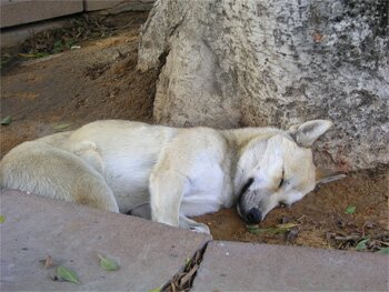 Tired