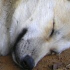 Tired