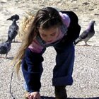 Playing with doves