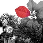 Christmas red