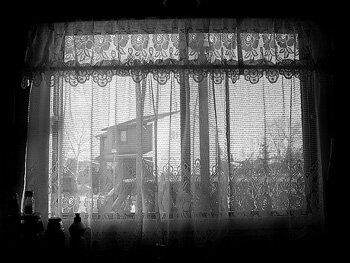 Beyond the kitchen window