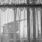 Beyond the kitchen window
