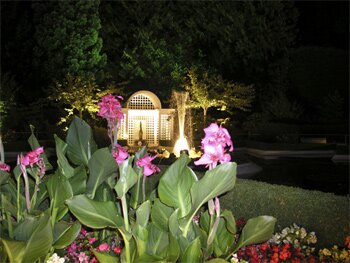 Magical gardens