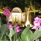 Magical gardens