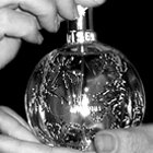 The gift 1