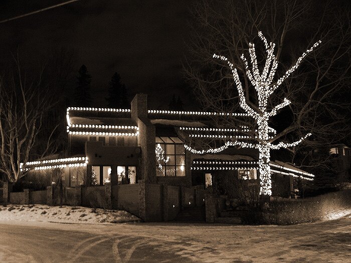 Tree lights