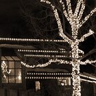 Tree lights