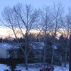 First dawn of 2004