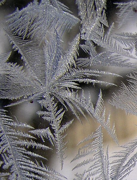 Ice crystals wonderland