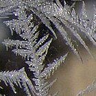 Ice crystals wonderland