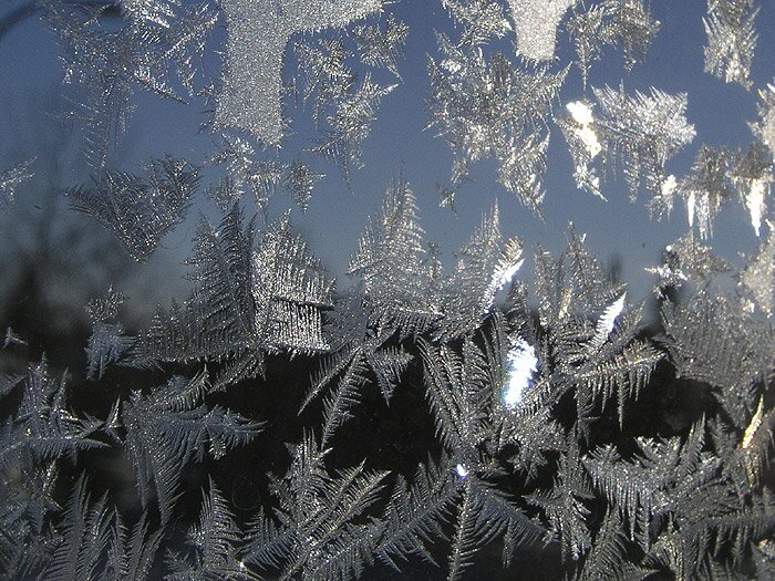 Ice forms