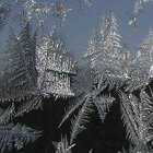 Ice forms