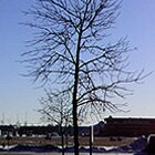 Sunny winter day