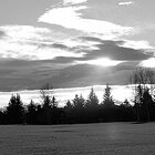 B&W Twilight
