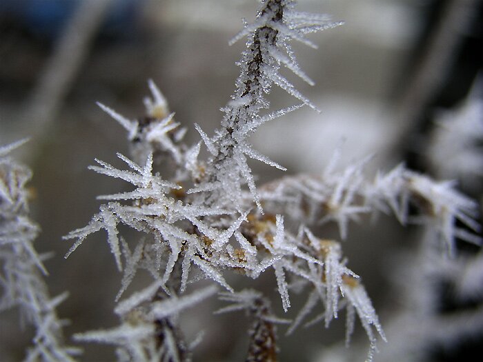 Icicles