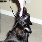 This toy is mine!