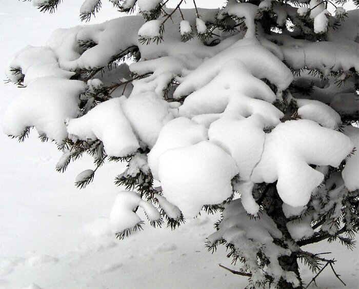 Soft and freezing