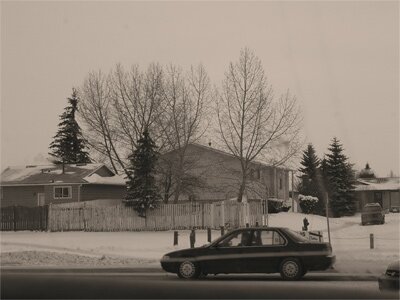 Snowy afternoon