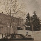Snowy afternoon