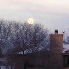 Morning moon