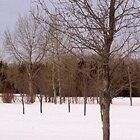 Standing alone