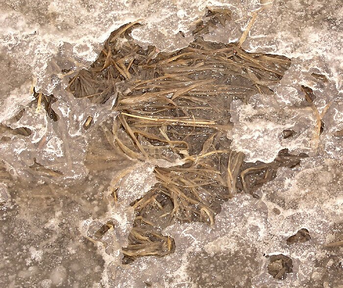 Abstract ice