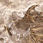 Abstract ice
