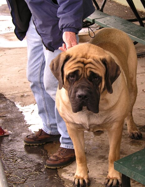 Big and beautiful