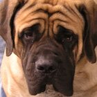 Big and beautiful
