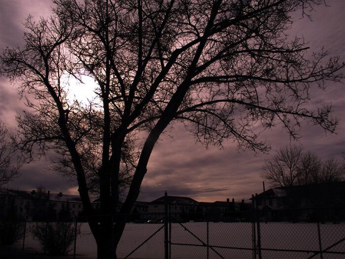 Silhouettes