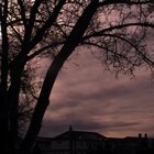 Silhouettes