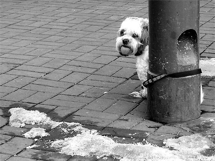 Left alone