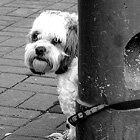 Left alone
