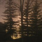 Midnight fog