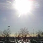 Sundogs