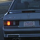The Mercedes Dude